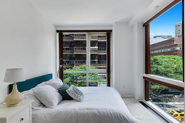 340 E 23rd St Unit 4L, New York Manhattan, NY 10010 - carpeted bedroom featuring multiple windows