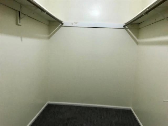 55 Winchester Ave, Peekskill, NY 10566 - spacious closet featuring carpet floors