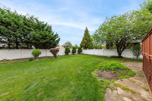 94 Rockland Dr, Jericho, NY 11753 - photo 32