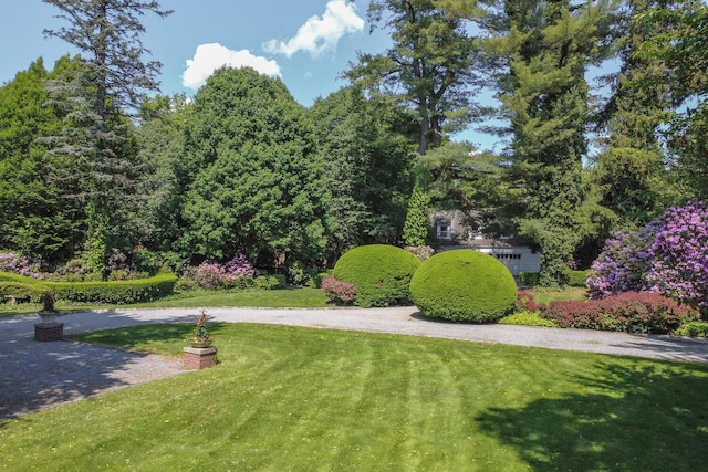 8 Chicken Valley Rd, Old Brookville, NY 11545 - view of green lawn