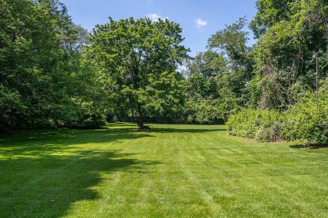 8 Chicken Valley Rd, Old Brookville, NY 11545 - view of green lawn with a forest view