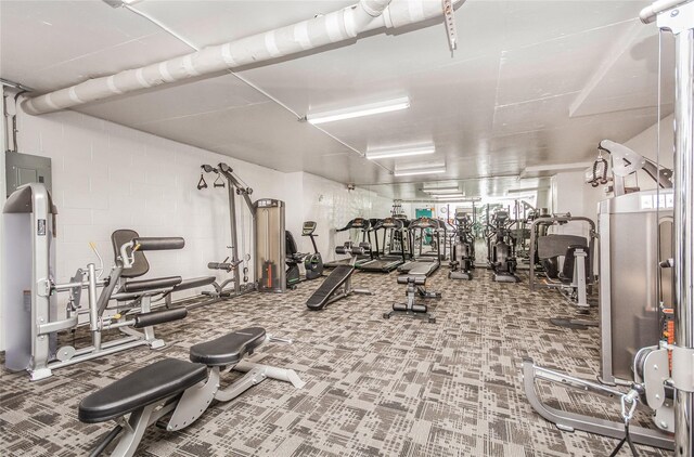555 Kappock St Unit 17D, Bronx, NY 10463 - workout area featuring carpet