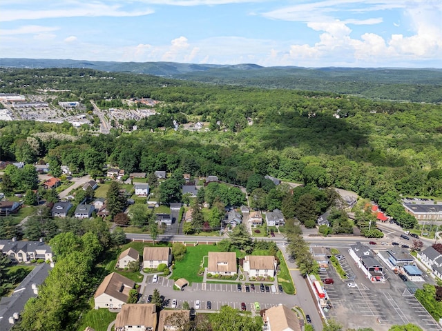 2B Kings Unit 2B, Mohegan Lake, NY 10547 - aerial view of a forest