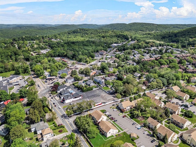 2B Kings Unit 2B, Mohegan Lake, NY 10547 - aerial view of residential area featuring a forest