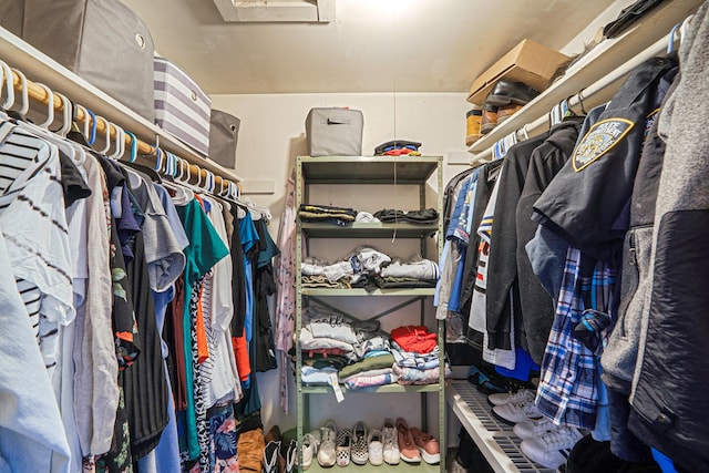 25 Biscayne Dr, Selden, NY 11784 - view of spacious closet