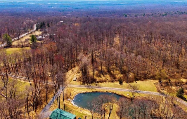 894 Upper Mountain Rd, Pine Bush, NY 12566 - photo 21