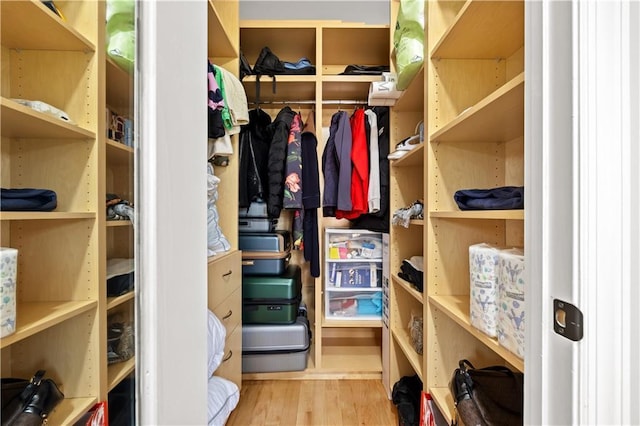 150 Oceana Dr W Unit 4B, Brooklyn, NY 11235 - spacious closet with wood finished floors
