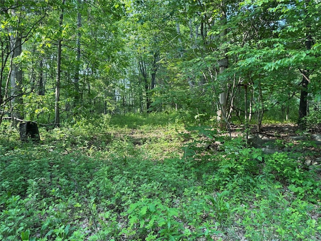 16 Saul Trl, Wallkill, NY 12589