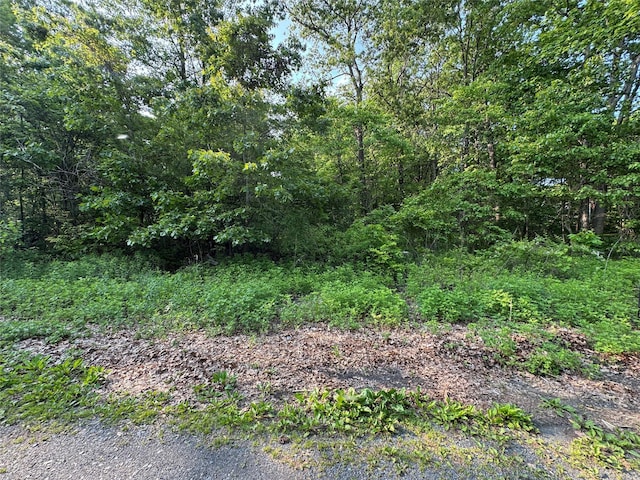 16 Saul Trl, Wallkill, NY 12589