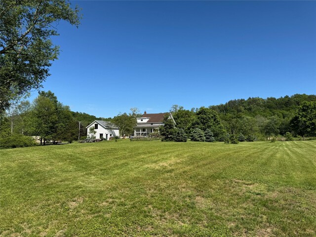 59 S St, Highland, NY 12528 - photo 21
