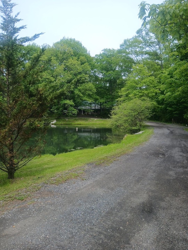 436 Roosa Gap Rd, Bloomingburg, NY 12721 - view of asphalt street featuring a water view and a view of trees
