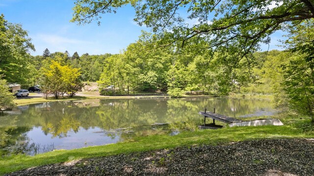 436 Roosa Gap Rd, Bloomingburg, NY 12721 - photo 47