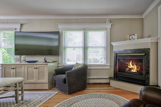 23 S Sixth St, Locust Valley, NY 11560 - living area with a baseboard heating unit, crown molding, a fireplace, and light wood-style floors