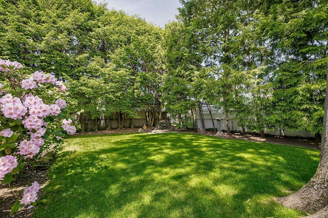 23 S Sixth St, Locust Valley, NY 11560 - view of yard