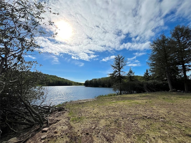 47 Eagles Ridge Way, Parksville, NY 12768
