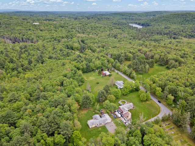 323 Harris Rd, Monticello, NY 12701 - bird's eye view of a heavily wooded area