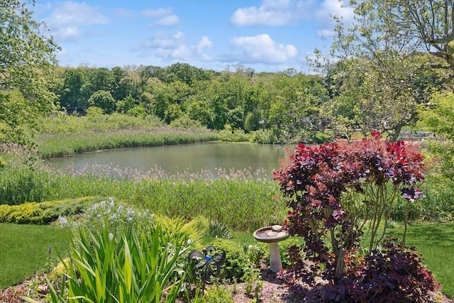 43 Hill St, Wading River, NY 11792 - water view with a heavily wooded area