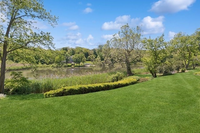 43 Hill St, Wading River, NY 11792 - view of green lawn with a water view