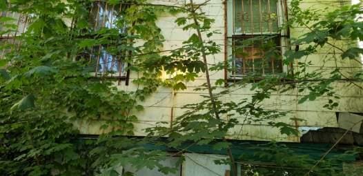 378 Saint Marks, Staten Island, NY 10301 - view of side of home