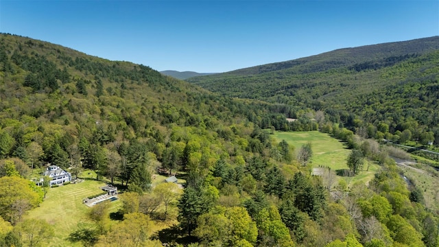 390 Erpf Rd, Arkville, NY 12406 - aerial view of a heavily wooded area and a mountain backdrop