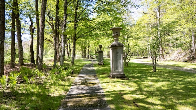 390 Erpf Rd, Arkville, NY 12406 - view of home's community featuring a lawn
