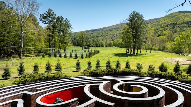 390 Erpf Rd, Arkville, NY 12406 - view of grassy yard featuring a mountain view and a wooded view