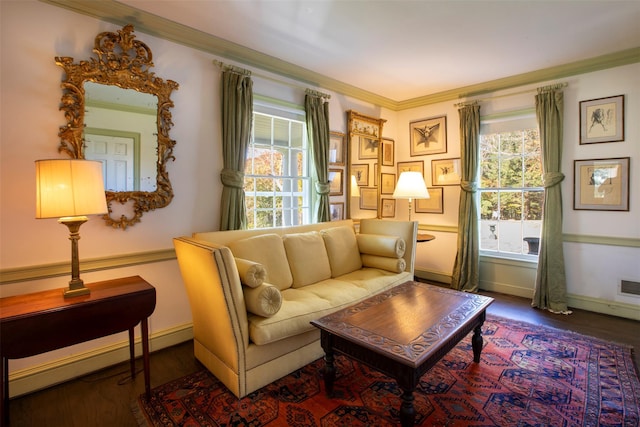 390 Erpf Rd, Arkville, NY 12406 - living room with plenty of natural light, wood finished floors, baseboards, and crown molding