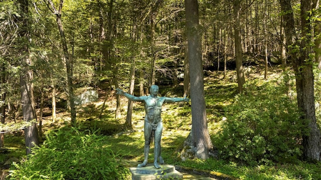 390 Erpf Rd, Arkville, NY 12406 - view of nature