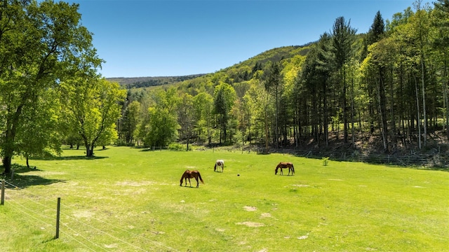 390 Erpf Rd, Arkville, NY 12406 - surrounding community featuring a rural view, a wooded view, and a lawn