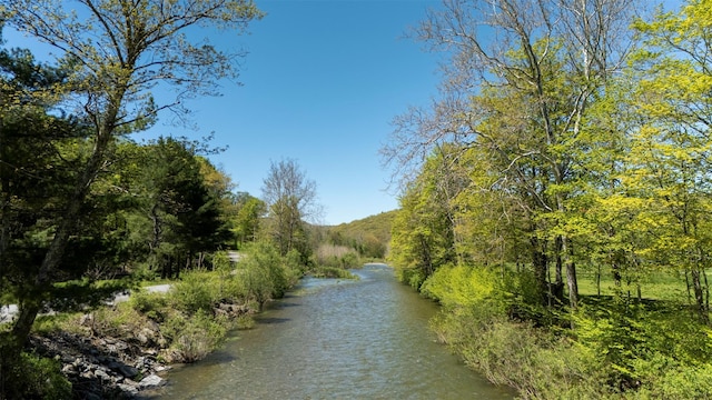 390 Erpf Rd, Arkville, NY 12406 - water view