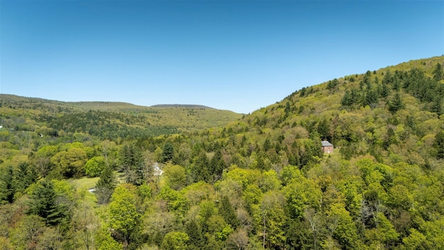 390 Erpf Rd, Arkville, NY 12406 - mountain view with a forest