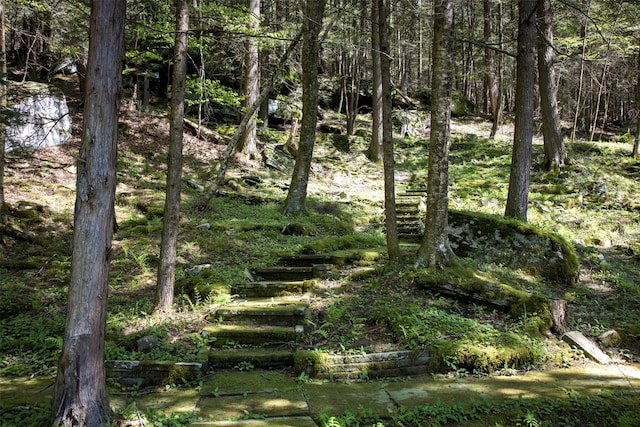390 Erpf Rd, Arkville, NY 12406 - view of local wilderness
