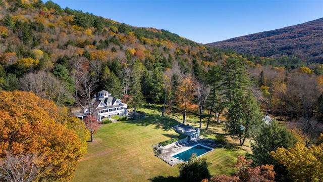 390 Erpf Rd, Arkville, NY 12406 - view from above of property featuring a heavily wooded area and a pool area