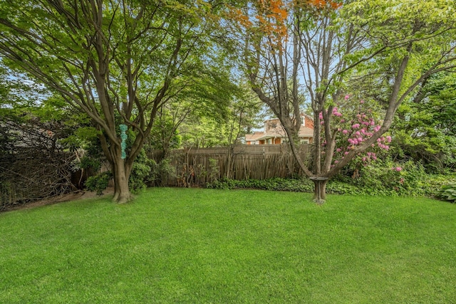 115 Fowler Ave, Yonkers, NY 10701 - view of yard