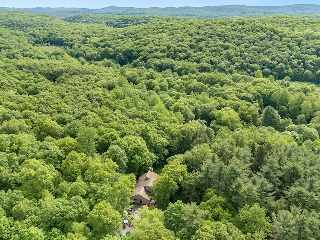 20 Old Farm Ln, Garrison, NY 10524 - aerial view of a heavily wooded area