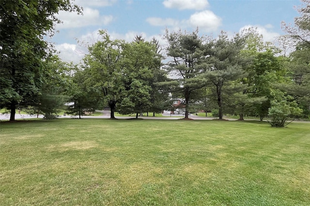 20 Shale Dr, Wappingers Falls, NY 12590 - view of grassy yard