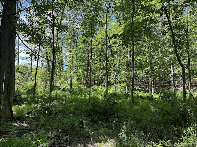 Rye Hill Rd, Monroe, NY 10950 - photo 3