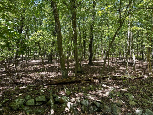 Rye Hill Rd, Monroe, NY 10950 - photo 4