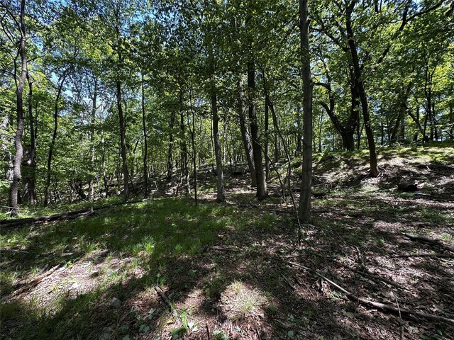 Rye Hill Rd, Monroe, NY 10950 - photo 5