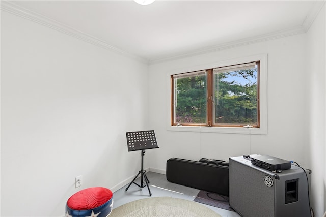 17 Tulip Rd, Rocky Point, NY 11778 - office space with crown molding and baseboards