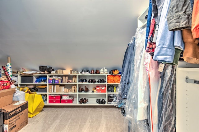 17 Gettysburg Dr Unit 17, Port Jefferson Station, NY 11776 - walk in closet with carpet floors