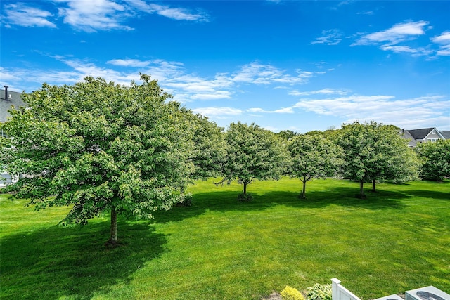23 Sonata Ct, Lake Grove, NY 11755 - view of green lawn