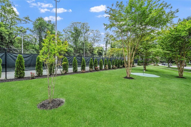 38 The Mews, Syosset, NY 11791 - view of yard