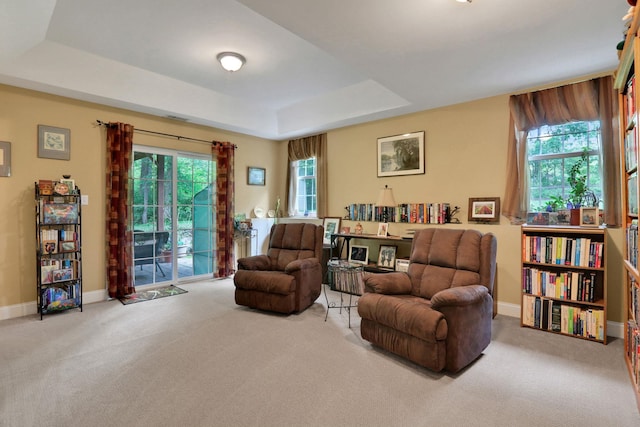 390 Lakeside Rd, Newburgh, NY 12550 - living area featuring carpet flooring, baseboards, and a tray ceiling