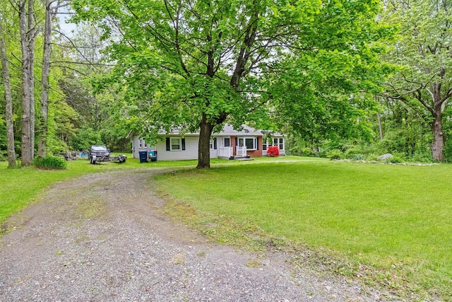 218 Johnson Rd, Wingdale, NY 12594 - view of front facade featuring dirt driveway and a front yard