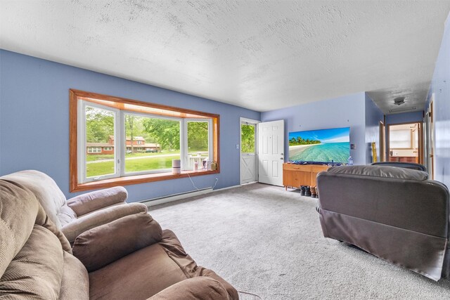 218 Johnson Rd, Wingdale, NY 12594 - living room with a baseboard heating unit, carpet floors, and a textured ceiling