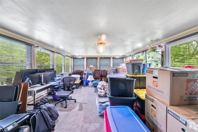 218 Johnson Rd, Wingdale, NY 12594 - sunroom / solarium with healthy amount of natural light, carpet floors, and a textured ceiling