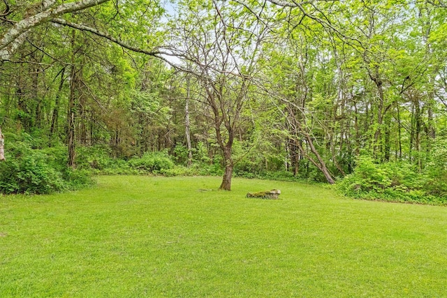 218 Johnson Rd, Wingdale, NY 12594 - view of green lawn featuring a view of trees