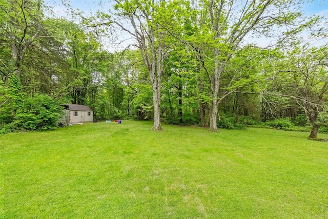 218 Johnson Rd, Wingdale, NY 12594 - view of grassy yard