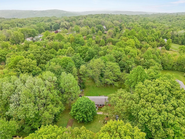 218 Johnson Rd, Wingdale, NY 12594 - drone / aerial view of a forest